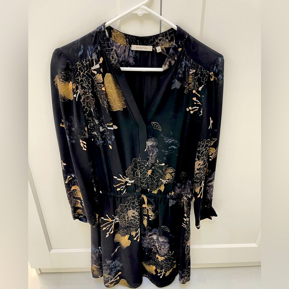 Aritzia Dress